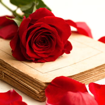 rose_book_istock_000009496495xsmall1.jpg